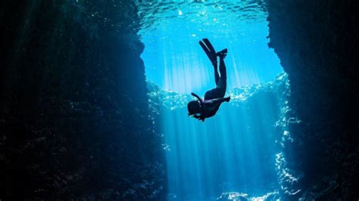 Exploring Vusis Neias: A Deep Dive into the Unknown